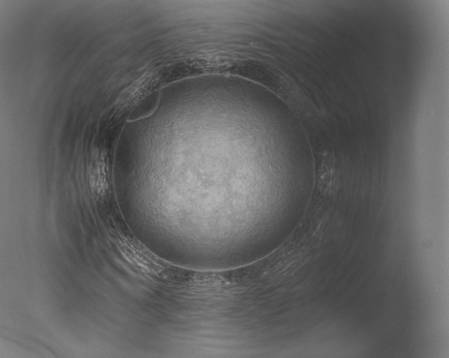 X0000077360866200610201320