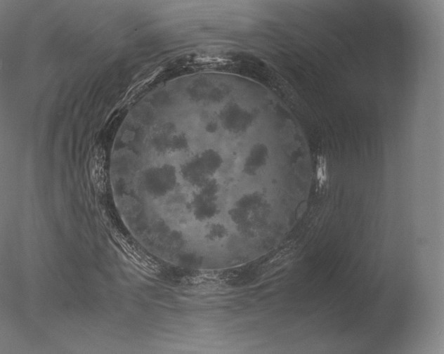 X0000077360867200610201320