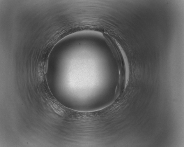 X0000077360868200610201320