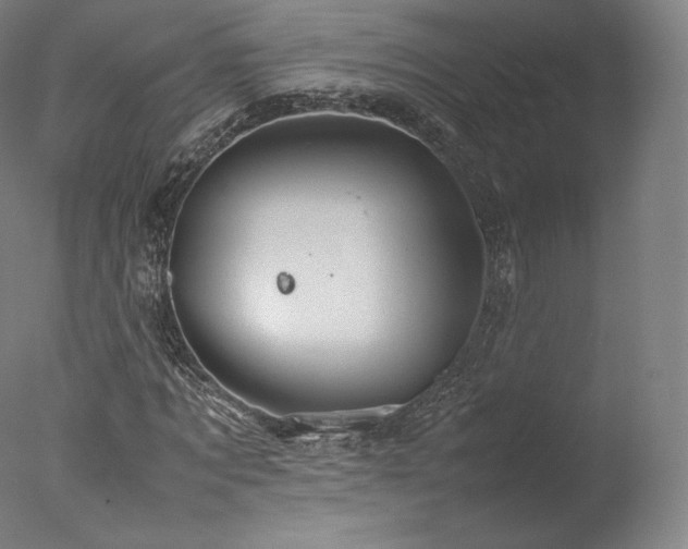 X0000077360869200610201320