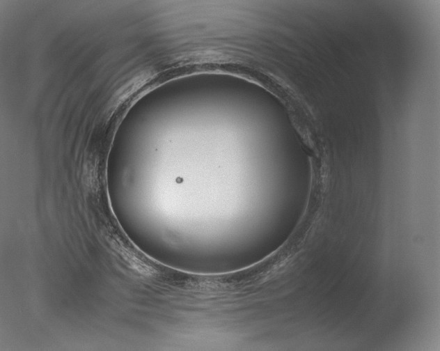 X0000077360873200610201320