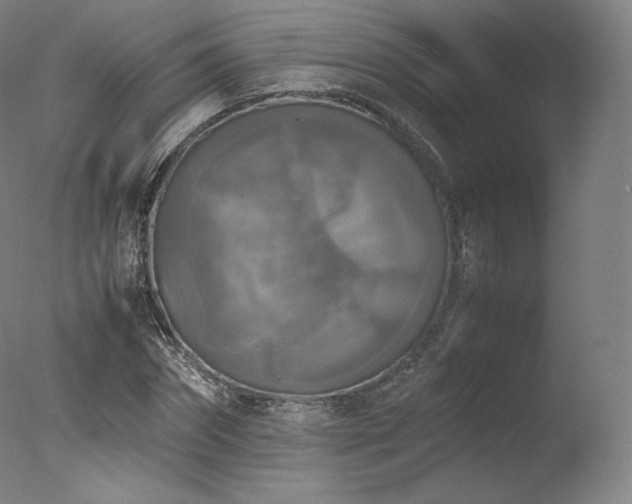 X0000077360874200610201320