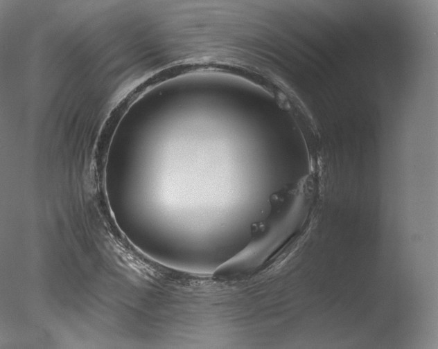 X0000077360876200610201320