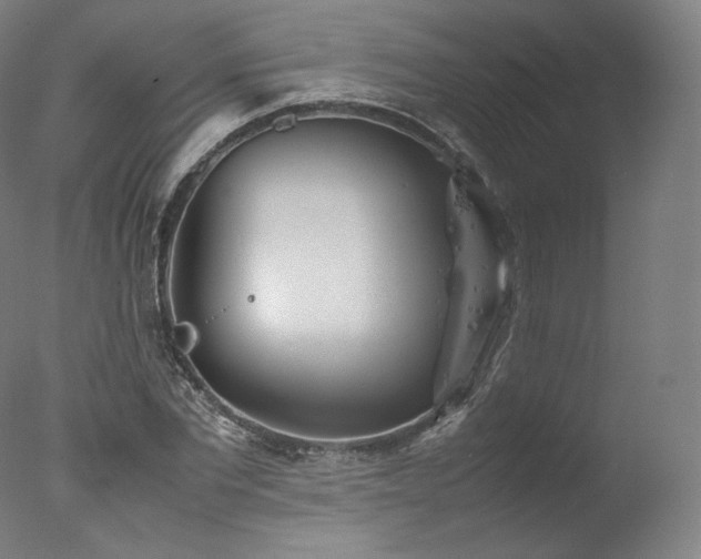 X0000077360877200610201320