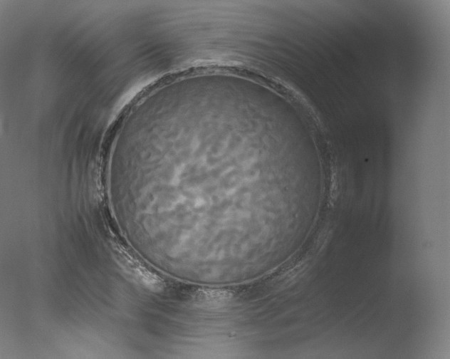 X0000077360878200610201320