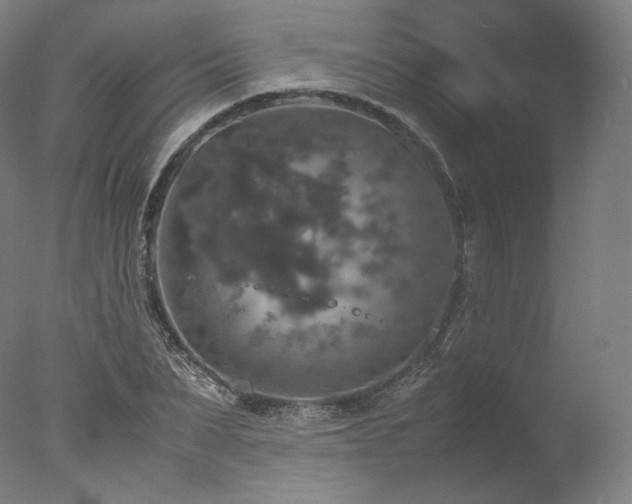 X0000077360879200610201320