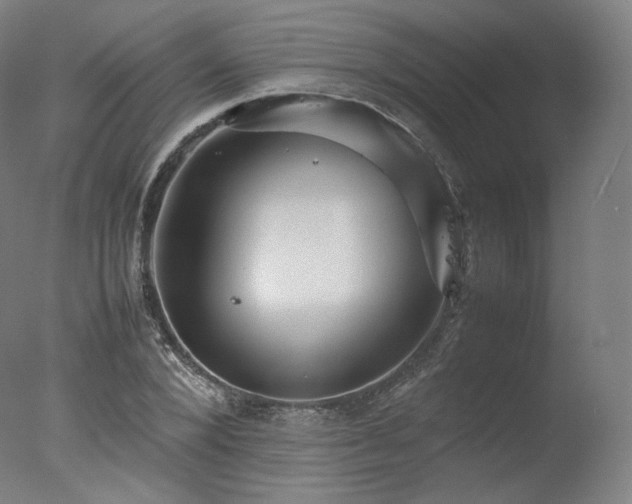 X0000077360880200610201320