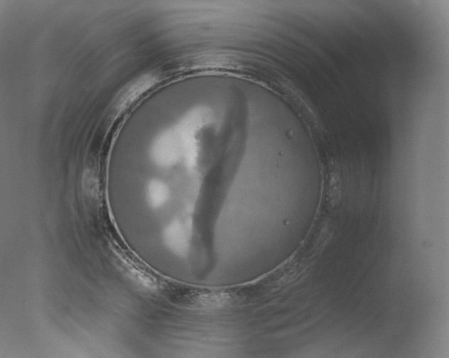 X0000077360882200610201320