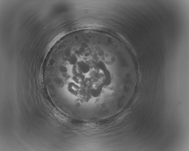 X0000077360883200610201320