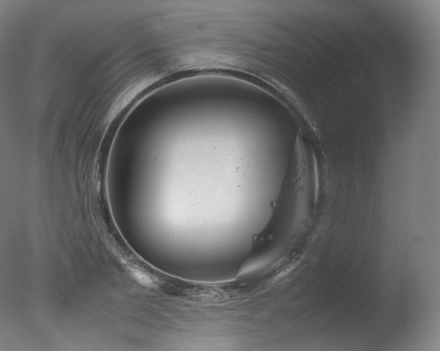 X0000077360885200610201320