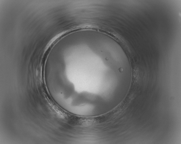 X0000077360886200610201319