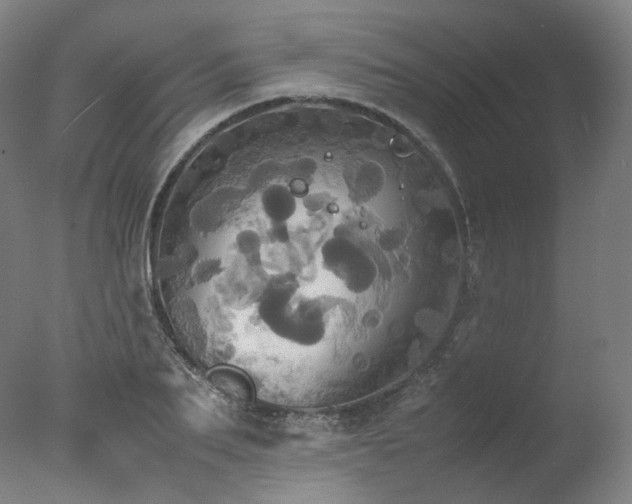 X0000077360887200610201319