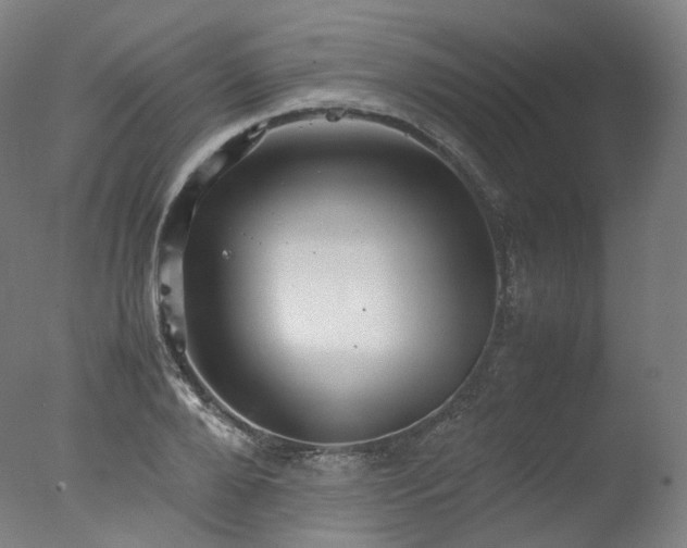 X0000077360888200610201319