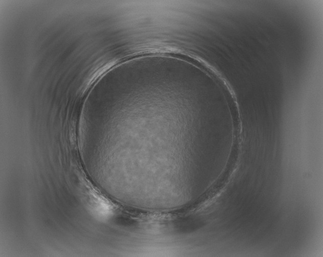 X0000077360889200610201319