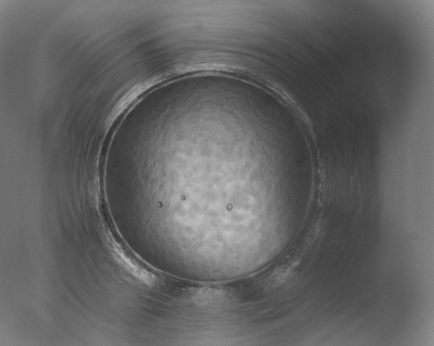 X0000077360890200610201319