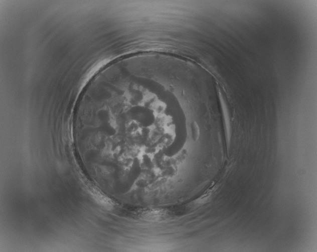 X0000077360891200610201319