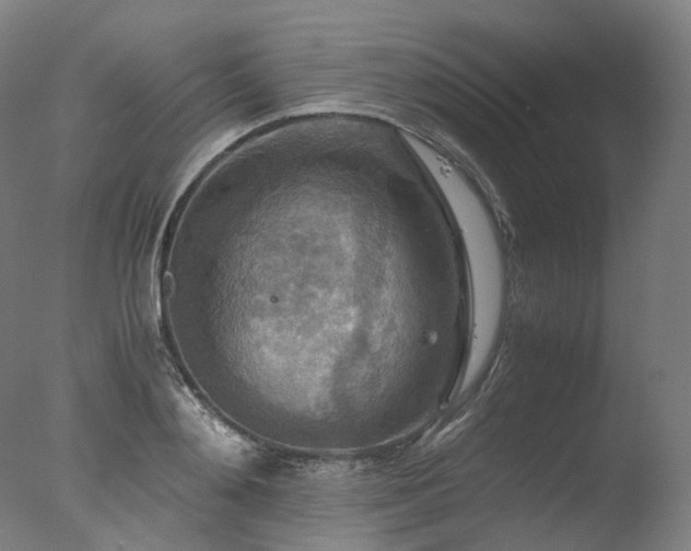 X0000077360892200610201319