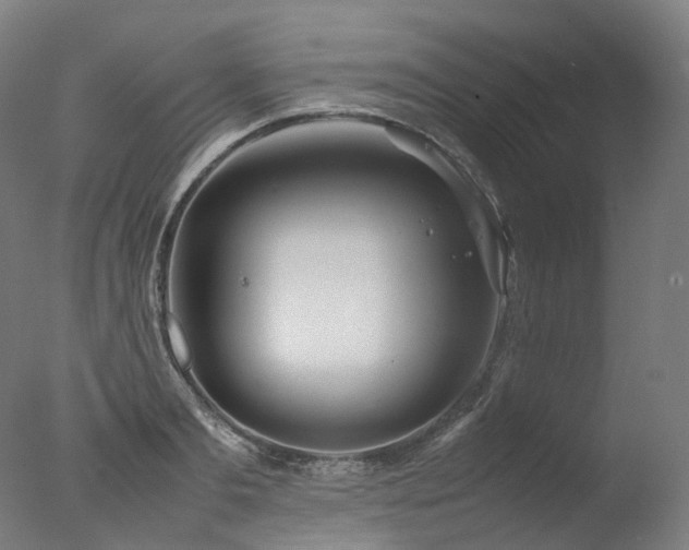 X0000077360893200610201319