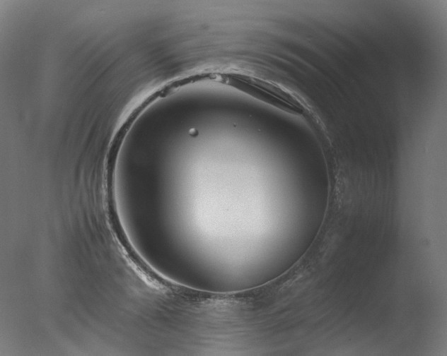 X0000077360894200610201319