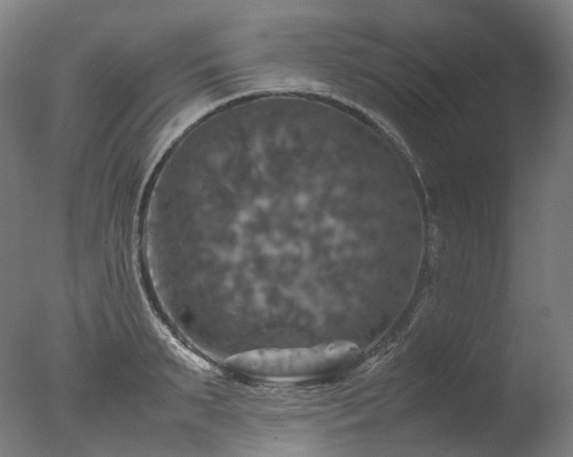 X0000077360895200610201319