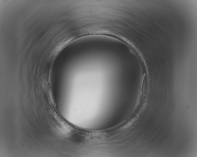 X0000077360897200610201319