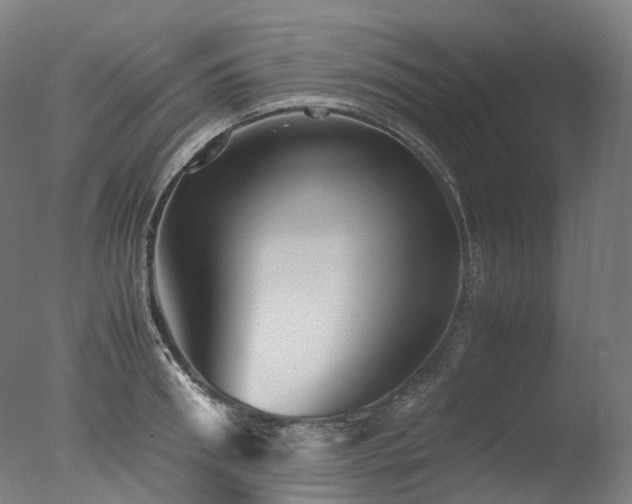 X0000077360898200610201319