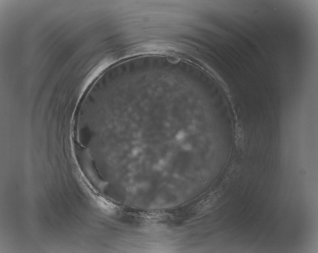 X0000077360899200610201319