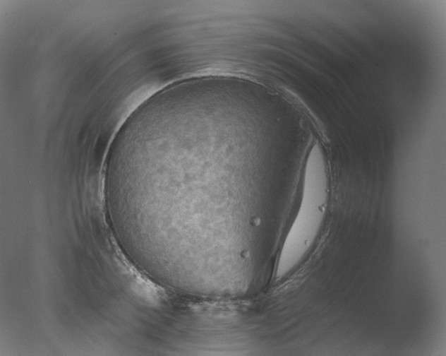 X0000077360900200610201319