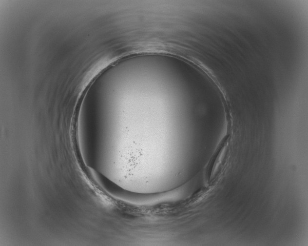 X0000077360901200610201319