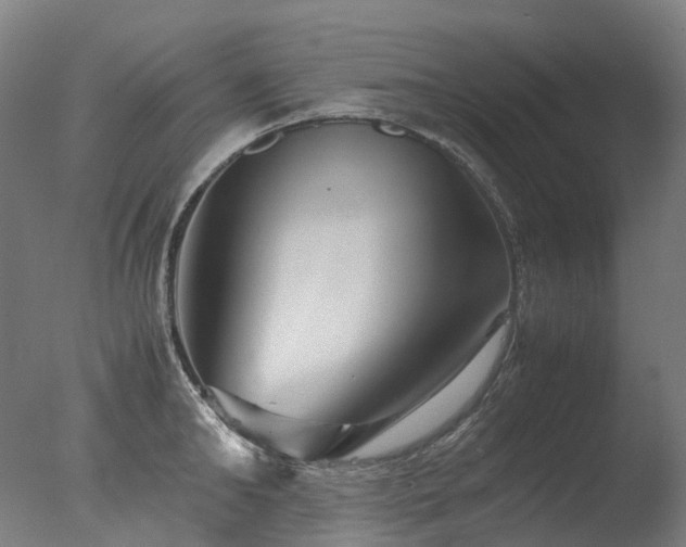 X0000077360902200610201319