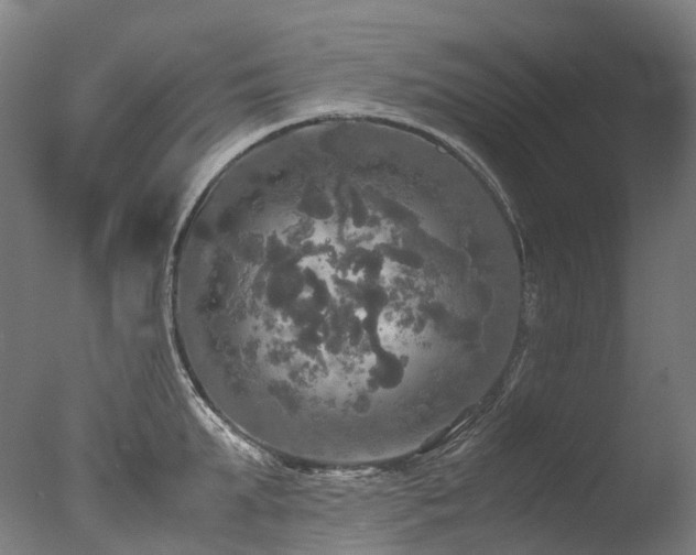 X0000077360903200610201319