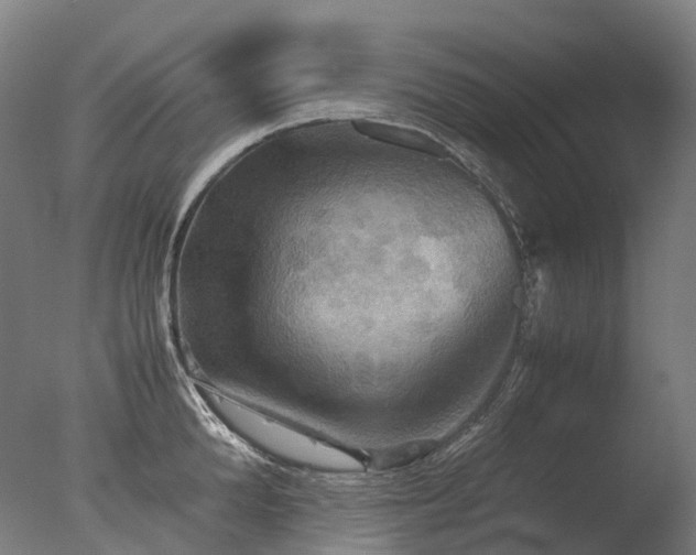 X0000077360904200610201319