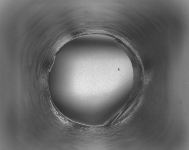 X0000077360905200610201319