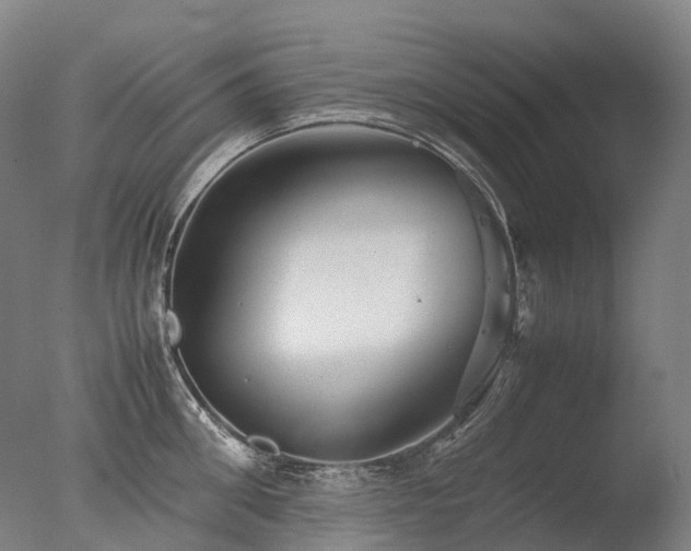 X0000077360906200610201319