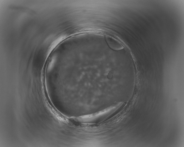 X0000077360907200610201319