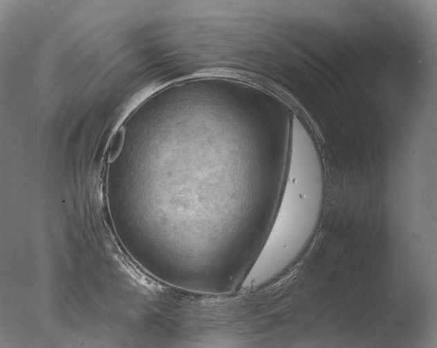 X0000077360908200610201319