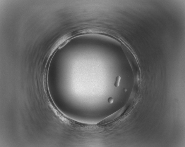 X0000077360909200610201319