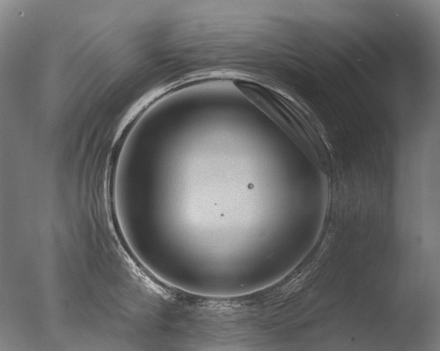 X0000077360910200610201319