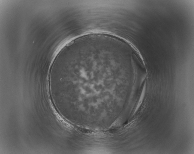 X0000077360911200610201319