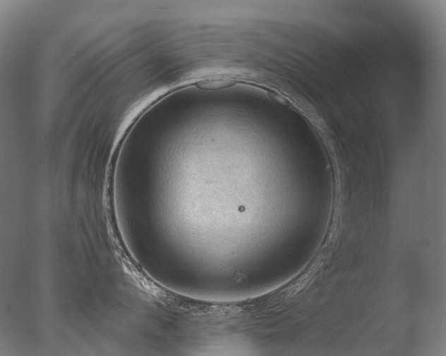 X0000077360912200610201319