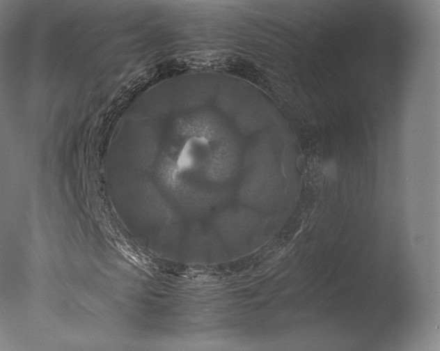 X0000077360913200610201318