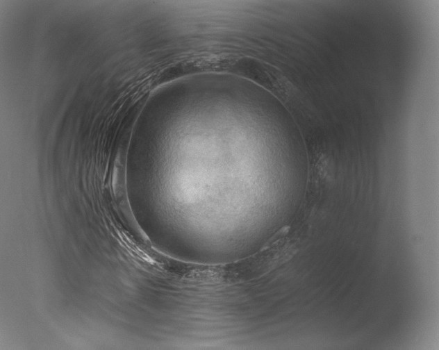 X0000077360914200610201318