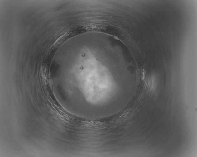 X0000077360915200610201318