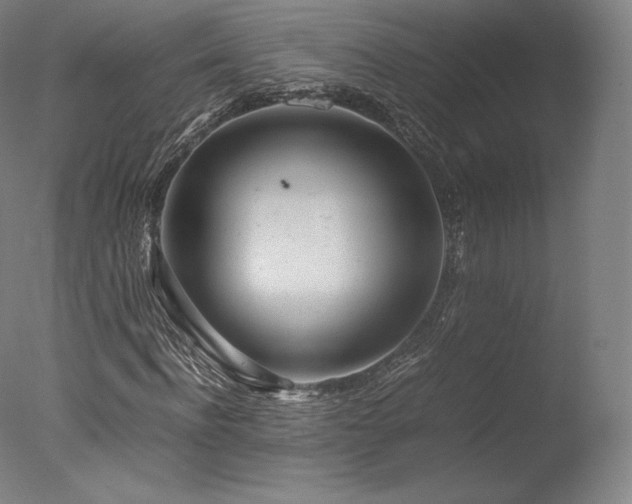 X0000077360916200610201318