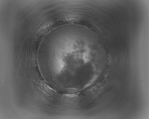 X0000077360917200610201318