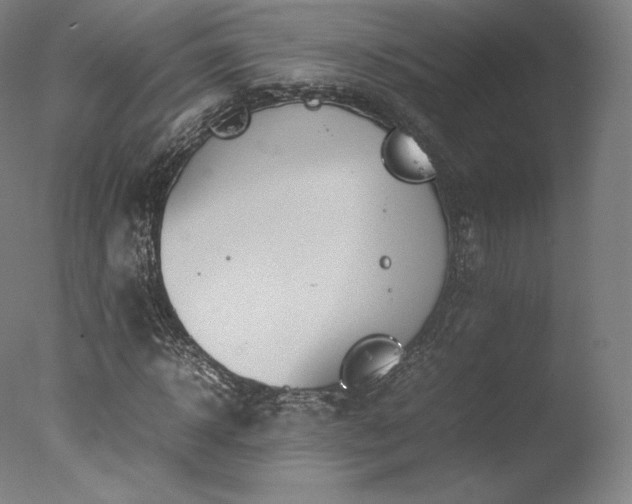 X0000077360918200610201318