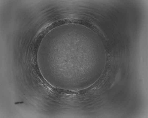 X0000077360919200610201318