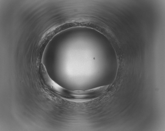 X0000077360920200610201318