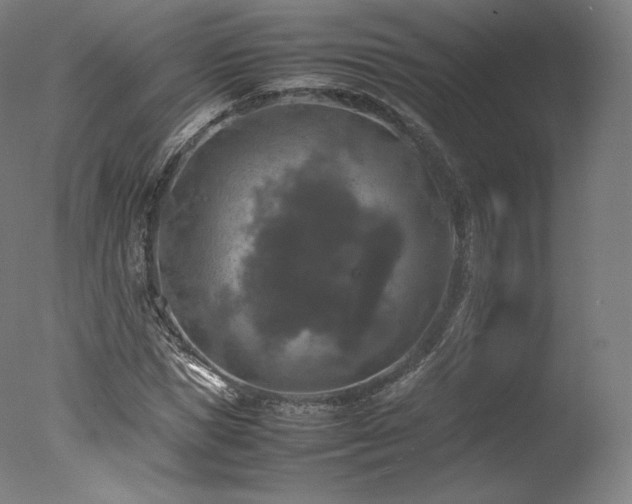 X0000077360921200610201318