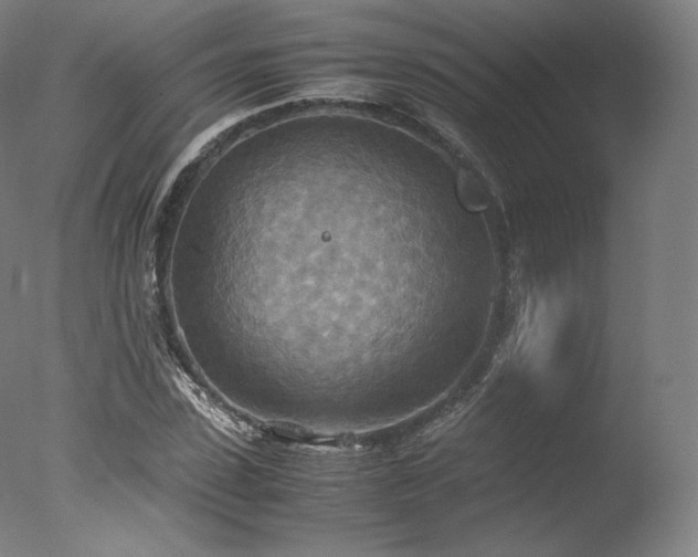 X0000077360923200610201318